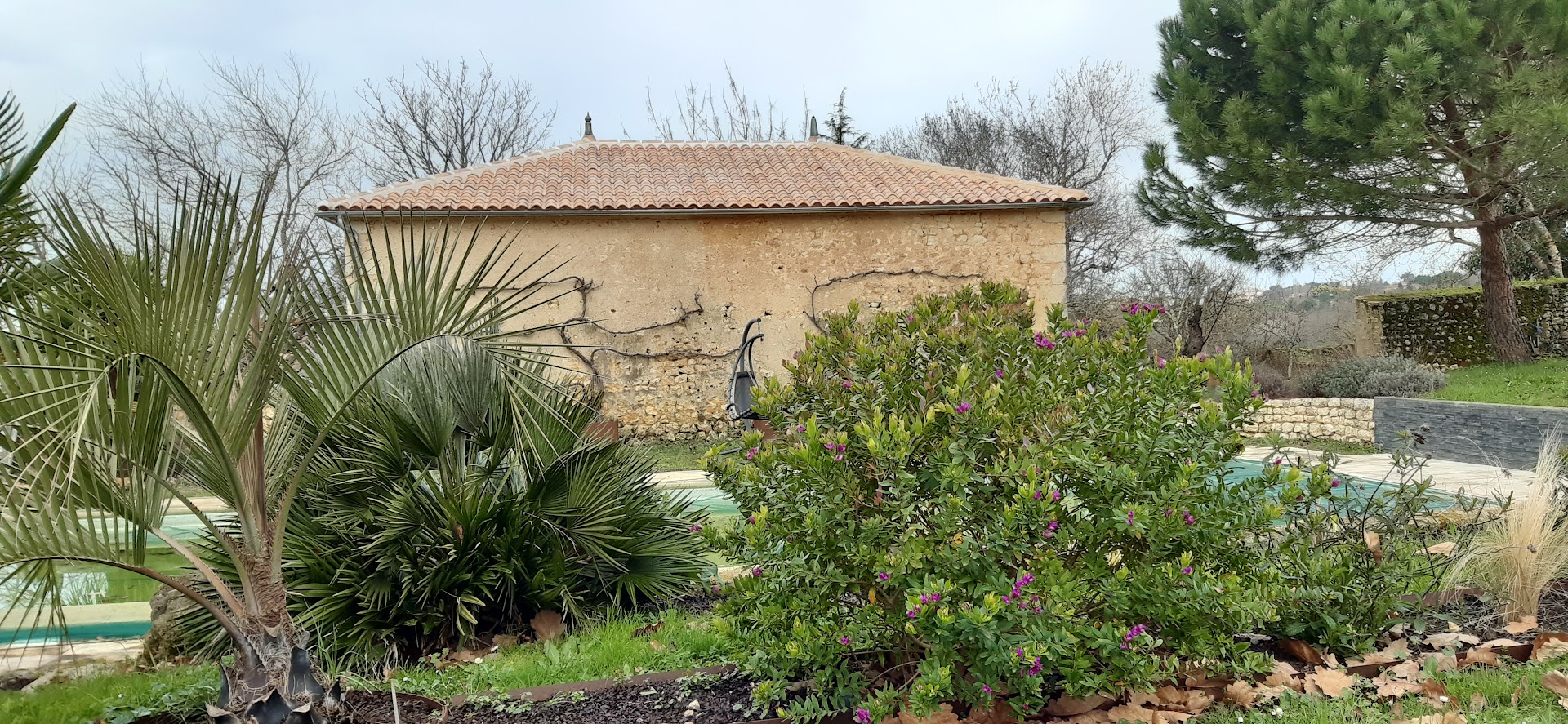Lamoureux Thierry — Photos 6
